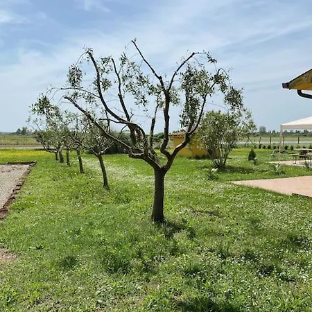 Agriturismo La Figarola Lantgård *