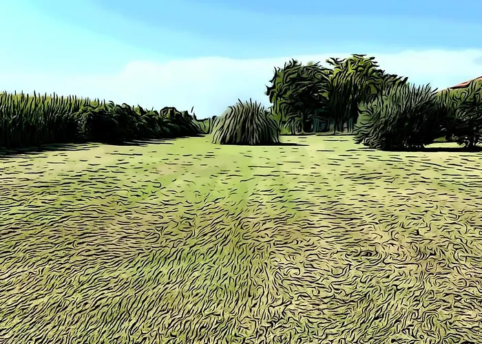 Agriturismo La Figarola *