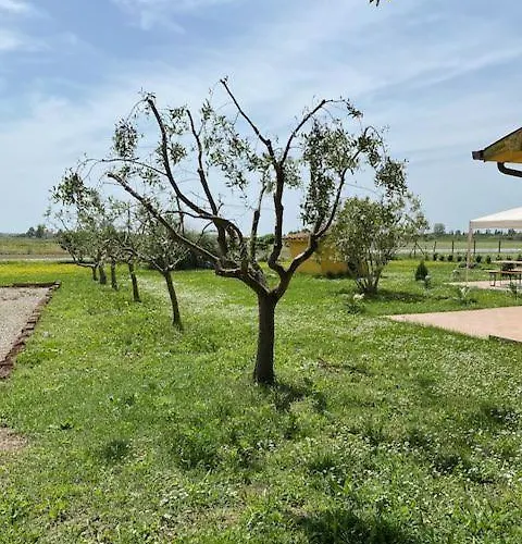 Agriturismo La Figarola Κατάλυμα σε φάρμα *