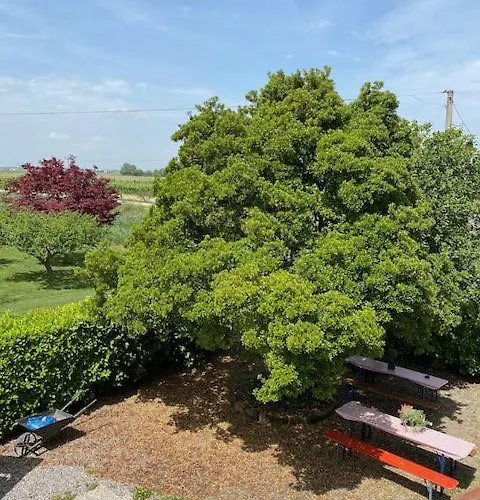 Agriturismo La Figarola *